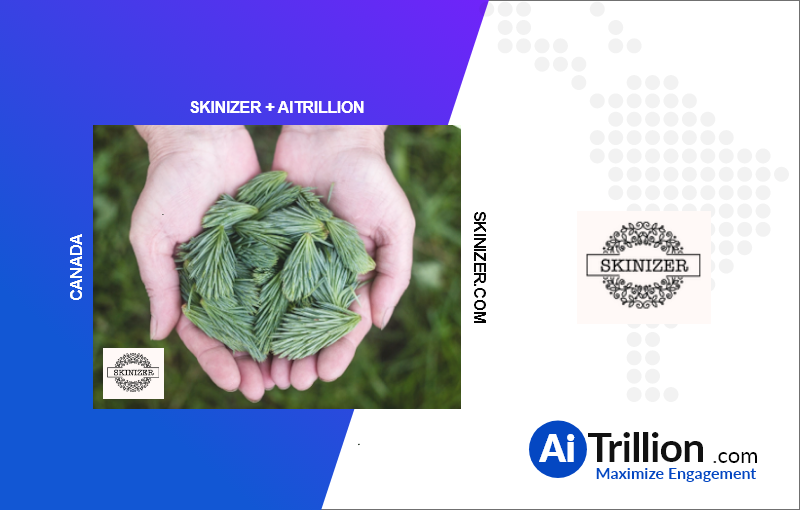 Skinizer onboard with AiTrillion