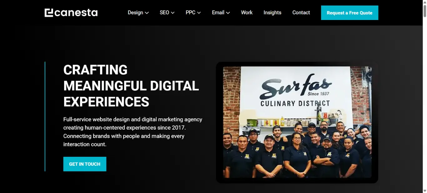 Canesta Shopify web design agency