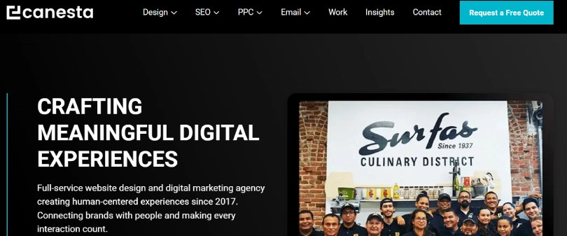Canesta-shopify-development-company-USA