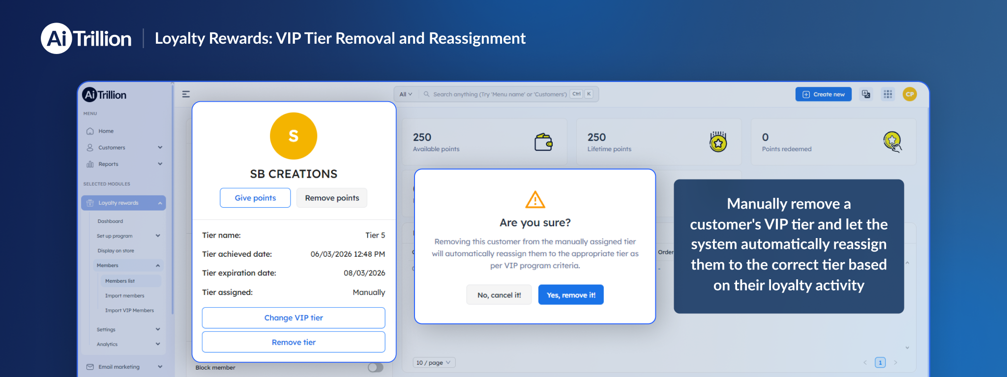 Simplified VIP Tier Removal and Assignment for Loyalty Programs