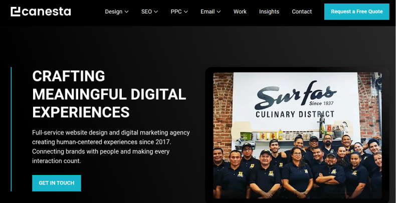 canesta shopify marketing services