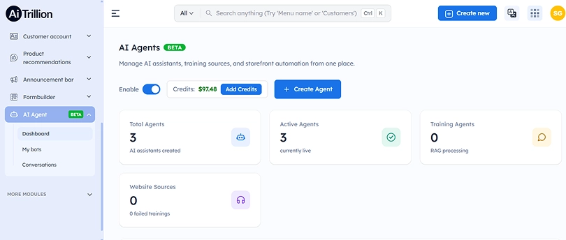 ai-agent-in-shopify-dashboard