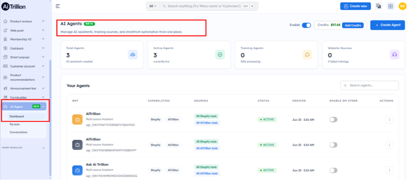 Shopify AI agent dashboard