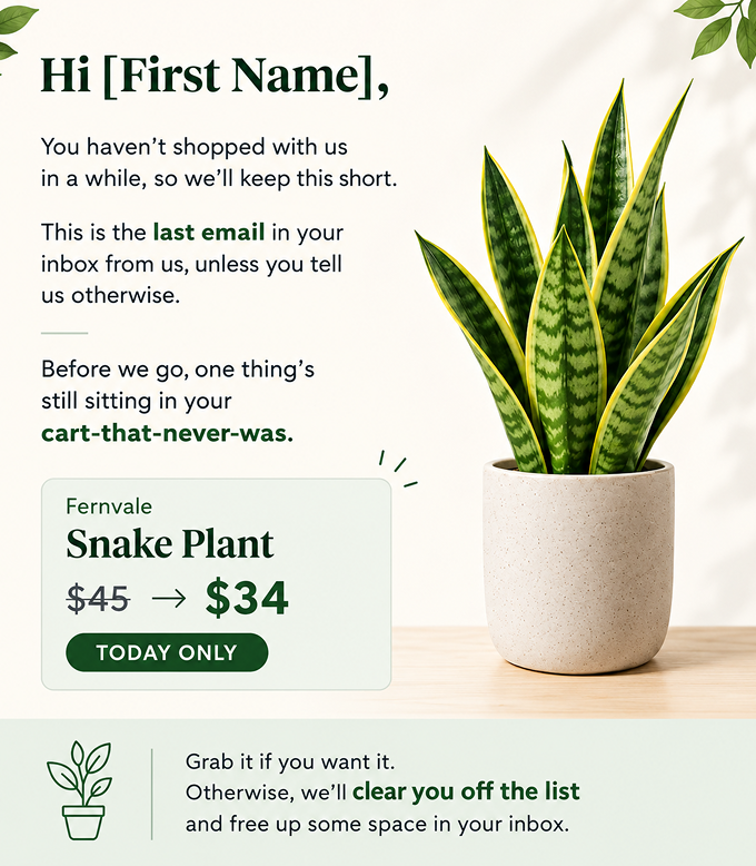 Final chance win-back email example for Shopify