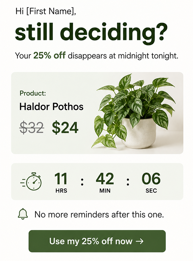 Limited-time urgency win-back email example