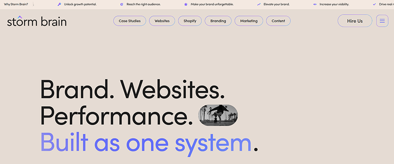 Storm Brain - Shopify email marketing agency