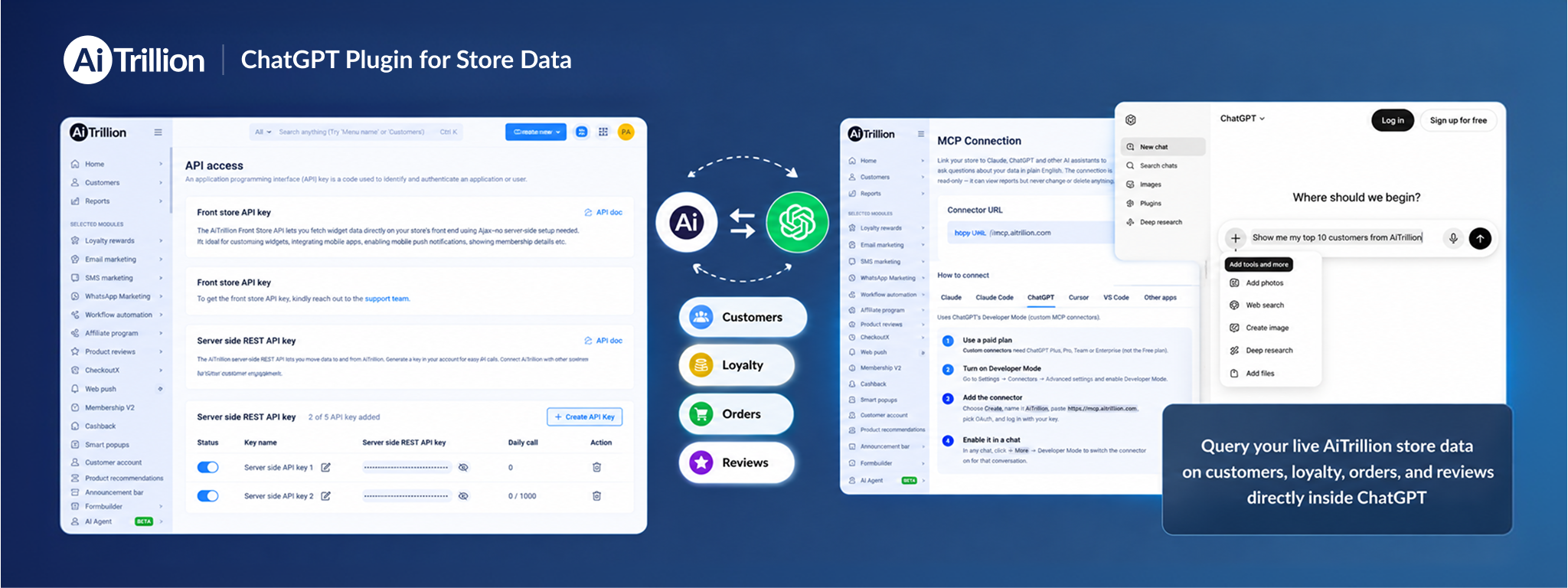 ChatGPT Plugin for Store Data